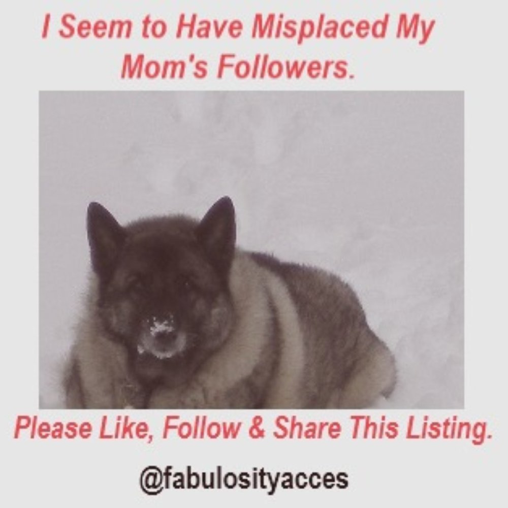 This Listing Has Been Trained to Find Followers.